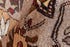 Vintage Kars Area Rug (7' x 9')